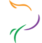 Site Icon - Paloma Medical Group